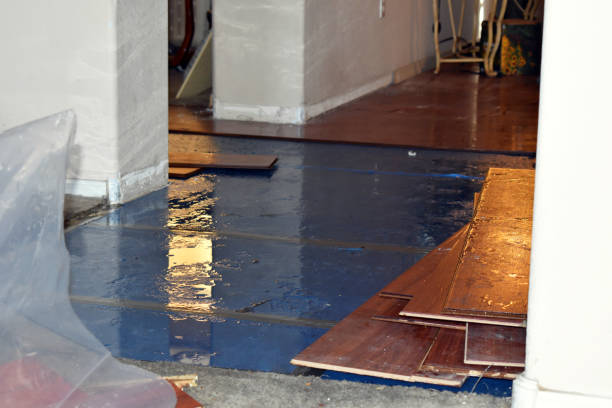 Professional Basement Flood Cleanup technician working in Norwood, NY